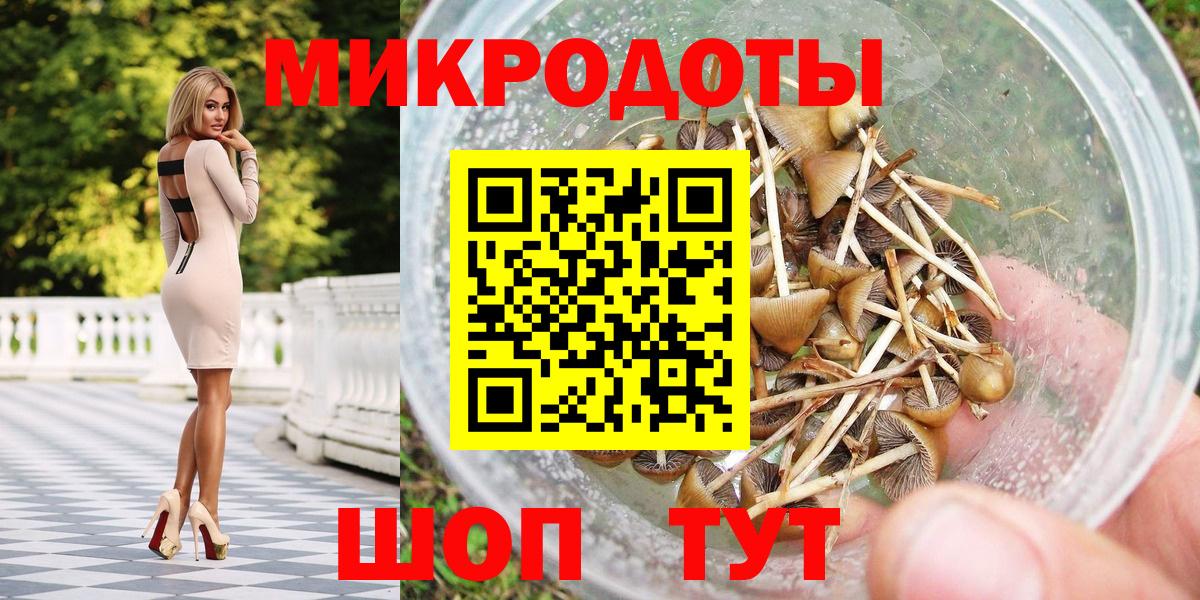 Псилоцибиновые грибы Psilocybe Вышний Волочёк